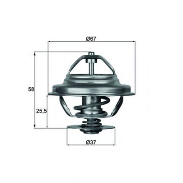 MAHLE - TX 21 80D - Termostat