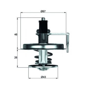 MAHLE - TX 22 84D - Termostat