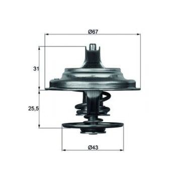 MAHLE - TX 23 71D - Termostat