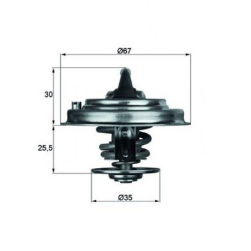 MAHLE - TX 34 87D - Termostat