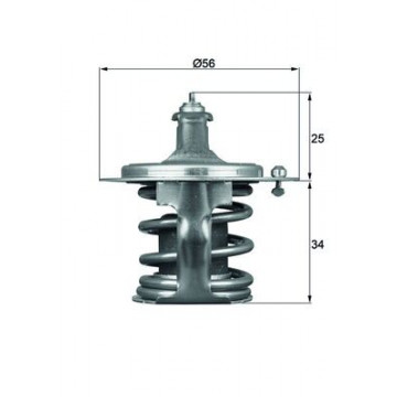 MAHLE - TX 79 78D - Termostat