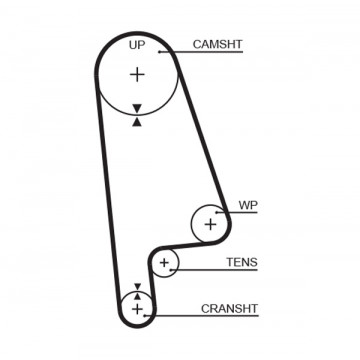 GATES T145RB - Triger Kayışı
