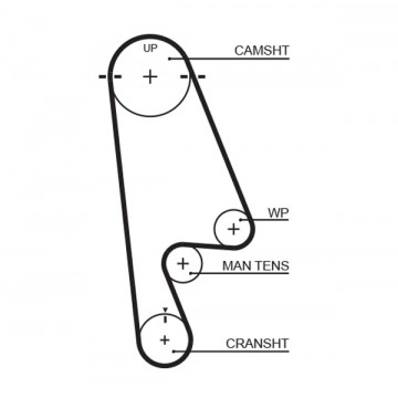 GATES T244RB - Triger Kayışı