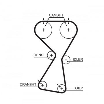 GATES T256RB - Triger Kayışı