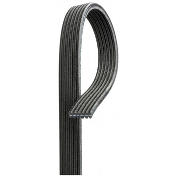 GATES 6DPK1360 - V-Kayışı