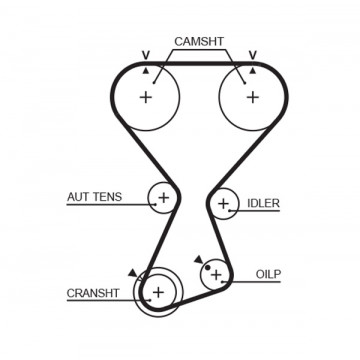 GATES T313 - Triger Kayışı