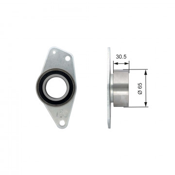 GATES T42091 - Saptırma/Kılavuz Kasnak, Triger Kayışı