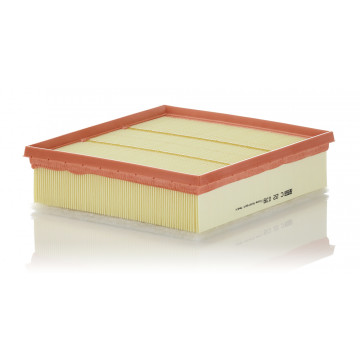 Mann-Filtre C 22 039 - Hava Filtresi