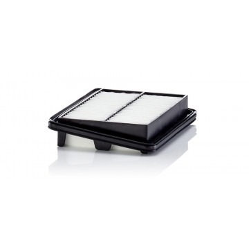 Mann-Filtre C 22 060 - Hava Filtresi