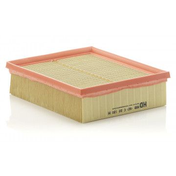 Mann-Filtre C 22 120 - Hava Filtresi