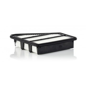 Mann-Filtre C 24 075 - Hava Filtresi