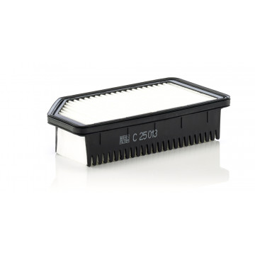 Mann-Filtre C 25 013 - Hava Filtresi