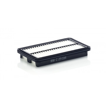 Mann-Filtre C 25 034 - Hava Filtresi