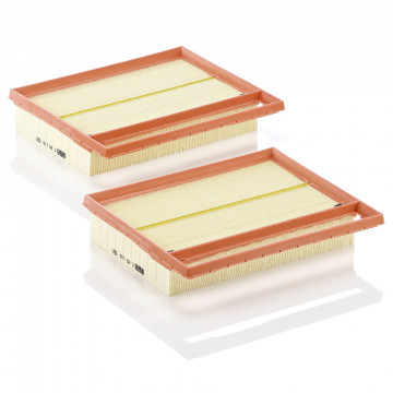 Mann-Filtre C 25 110-2 - Hava Filtresi