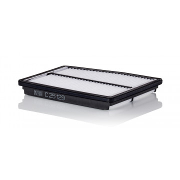 Mann-Filtre C 25 129 - Hava Filtresi