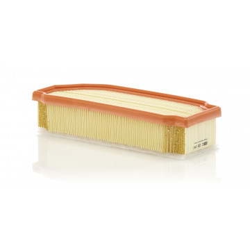 Mann-Filtre C 29 041 - Hava Filtresi