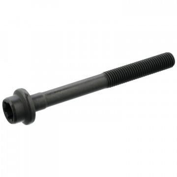 FEBI BILSTEIN 15698 - Silindir Kafası Cıvatası