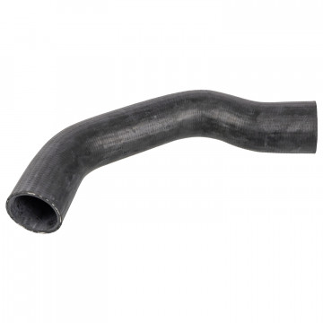 FEBI BILSTEIN 172029 - Radyatör Hortumu