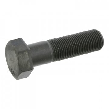 FEBI BILSTEIN 17230 - Kasnak Cıvatası