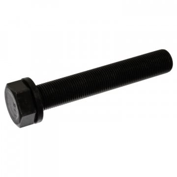 FEBI BILSTEIN 17232 - Kasnak Cıvatası