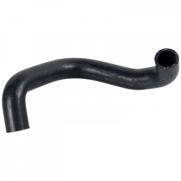 FEBI BILSTEIN 172579 - Radyatör Hortumu