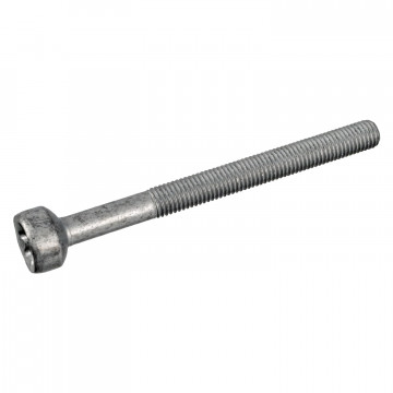 FEBI BILSTEIN 172930 - Enjeksiyon Memesi Tutucusu Vida