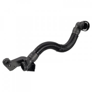 FEBI BILSTEIN 173030 - Hortum - Karter Havalandırması