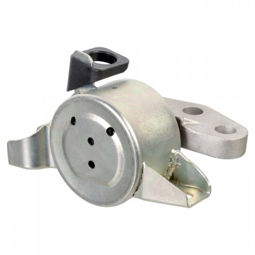 FEBI BILSTEIN 175996 - Montaj - Motor