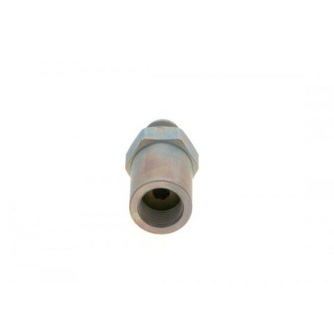 BOSCH - 1 110 010 021 - Basınç  Sınırlama Valfi